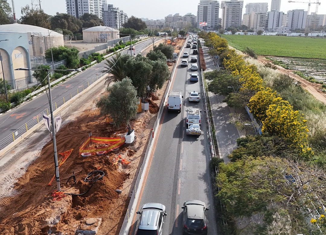 rishon brown line 8 1080 777 page cover8