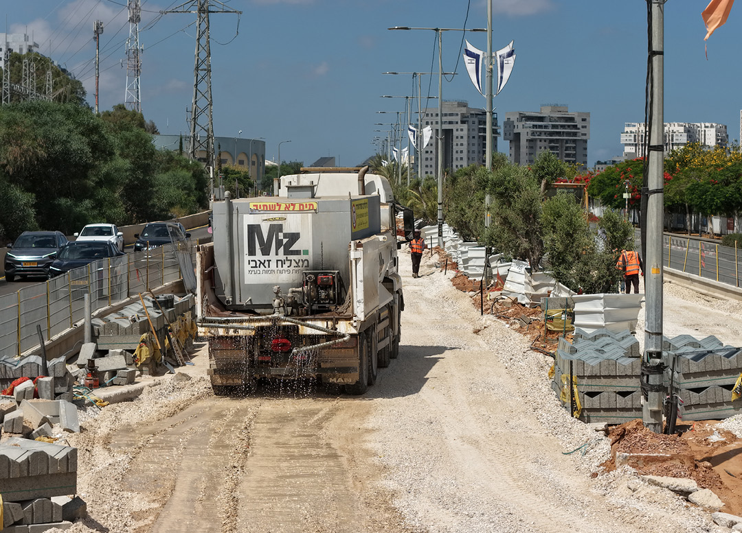 rishon brown line 8 1080 777 page cover15