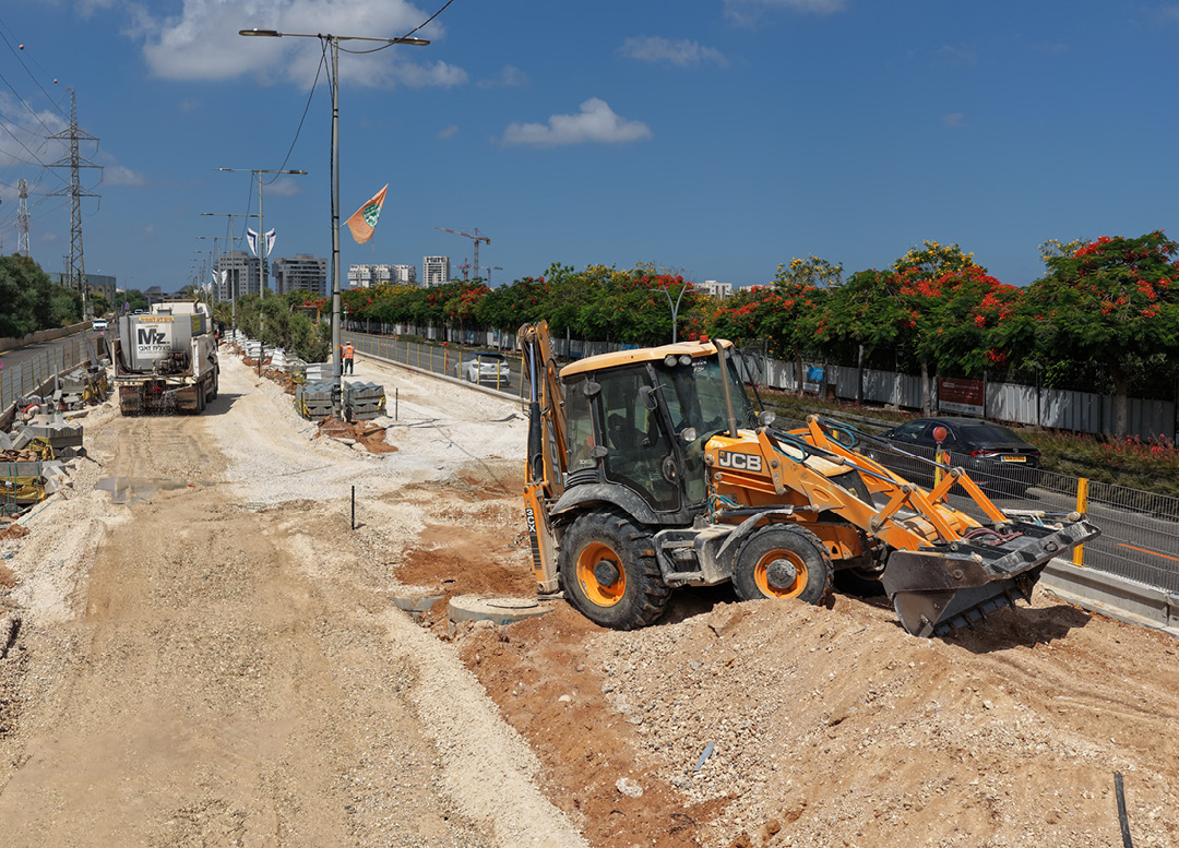 rishon brown line 8 1080 777 page cover16